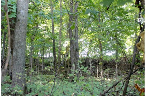 6.51 AC W Dutch Hollow Rd, La Valle, WI 53941