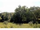 6.51 AC W Dutch Hollow Rd, La Valle, WI 53941