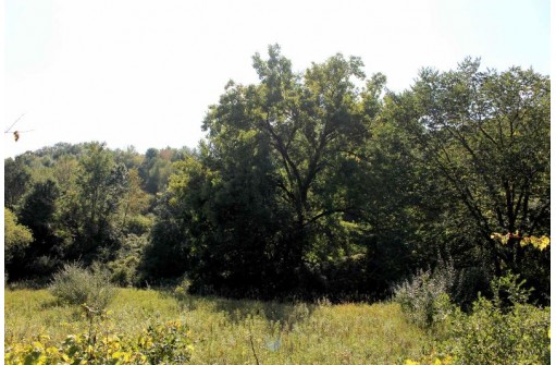 6.51 AC W Dutch Hollow Rd, La Valle, WI 53941