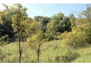 6.51 AC W Dutch Hollow Rd, La Valle, WI 53941