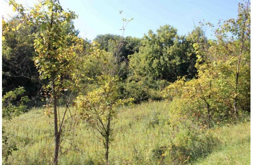 6.51 AC W Dutch Hollow Rd, La Valle, WI 53941