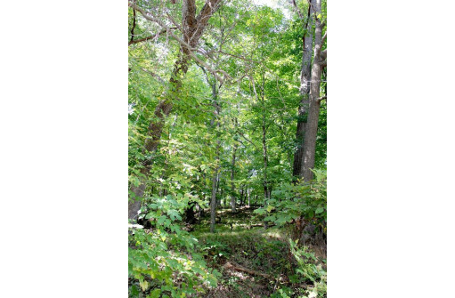 6.51 AC W Dutch Hollow Rd, La Valle, WI 53941