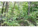 6.51 AC W Dutch Hollow Rd, La Valle, WI 53941