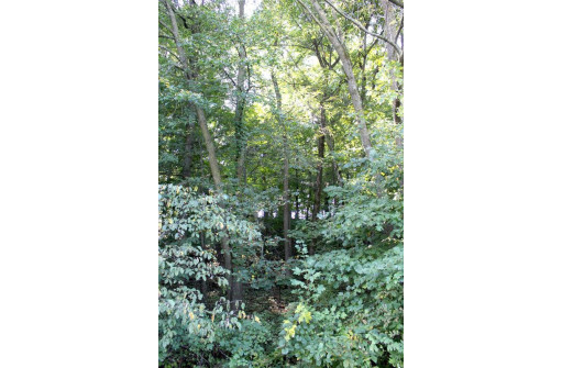 6.51 AC W Dutch Hollow Rd, La Valle, WI 53941