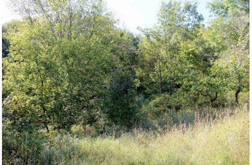 6.51 AC W Dutch Hollow Rd, La Valle, WI 53941