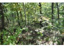 6.51 AC W Dutch Hollow Rd, La Valle, WI 53941