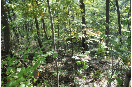 6.51 AC W Dutch Hollow Rd, La Valle, WI 53941