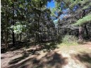 1949 Deerpath Rd, Arkdale, WI 54613