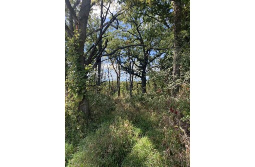 12.8 ACRES County Road N, Stoughton, WI 53589