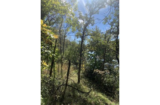 12.8 ACRES County Road N, Stoughton, WI 53589