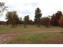 1239 9th Ct, Friendship, WI 53934-0000