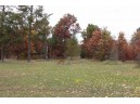 1239 9th Ct, Friendship, WI 53934-0000