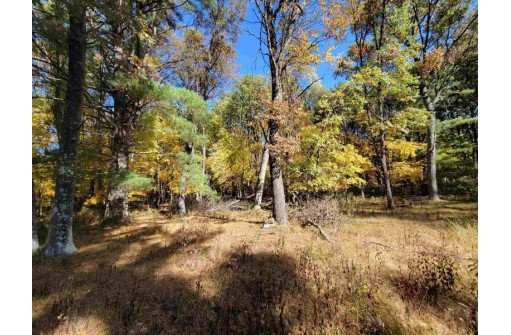 614 County Road Z, Nekoosa, WI 54457