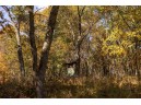 5.93AC County Road E, Montello, WI 53949