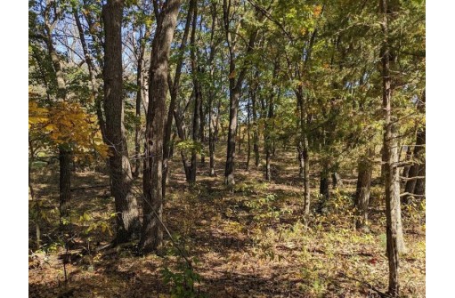 5.93AC County Road E, Montello, WI 53949