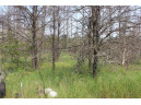 LOT 2 15th Ave, Arkdale, WI 54613