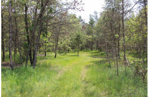 LOT 2 15th Ave, Arkdale, WI 54613