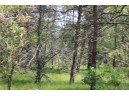 LOT 2 15th Ave, Arkdale, WI 54613