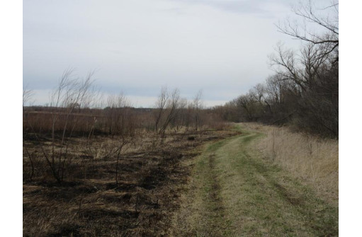 40.02 AC W Plymouth Church Rd, Janesville, WI 53548