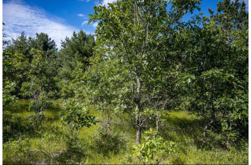 LOT 10 18th St, Necedah, WI 54646