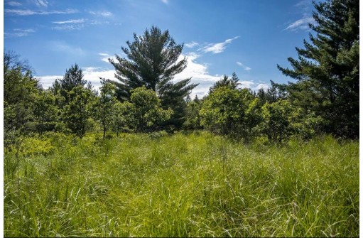 LOT 10 18th St, Necedah, WI 54646