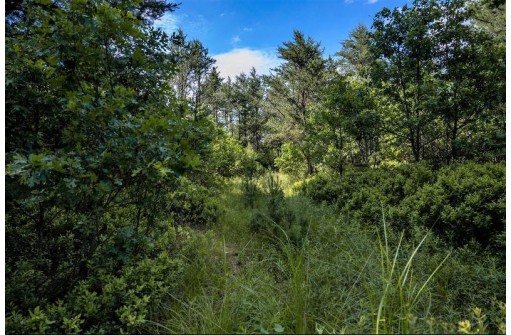 LOT 10 18th St, Necedah, WI 54646