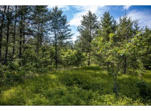 LOT 10 18th St Necedah, WI 54646