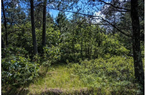 LOT 10 18th St, Necedah, WI 54646