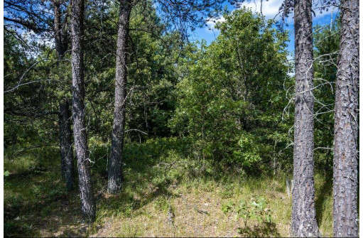 LOT 10 18th St, Necedah, WI 54646