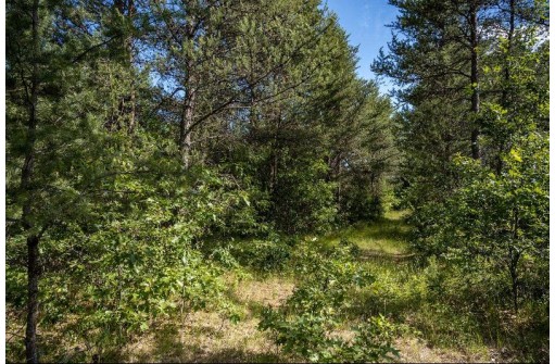 LOT 10 18th St, Necedah, WI 54646