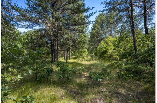 LOT 10 18th St, Necedah, WI 54646