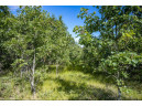 LOT 10 18th St, Necedah, WI 54646