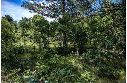 LOT 10 18th St, Necedah, WI 54646