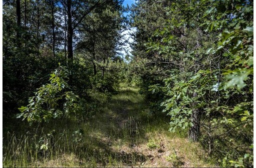 LOT 10 18th St, Necedah, WI 54646