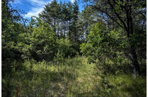 LOT 10 18th St, Necedah, WI 54646