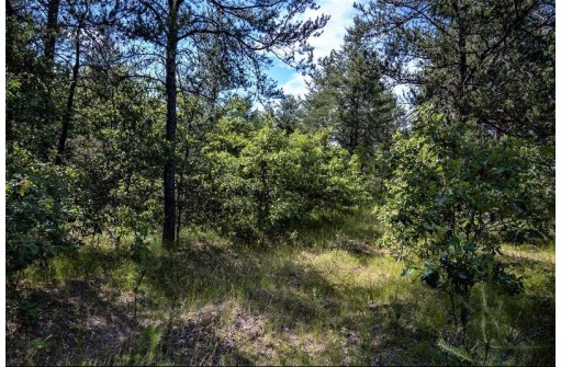 LOT 10 18th St, Necedah, WI 54646