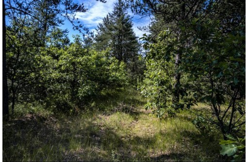 LOT 10 18th St, Necedah, WI 54646