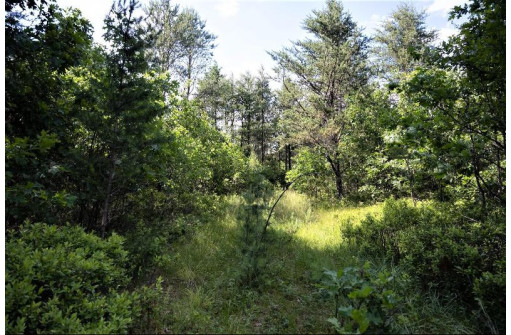 LOT 10 18th St, Necedah, WI 54646