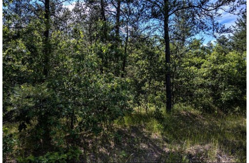 LOT 10 18th St, Necedah, WI 54646