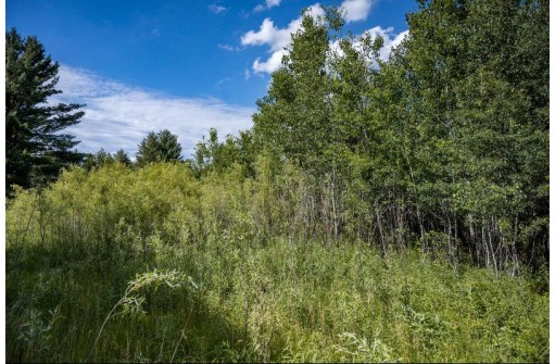 LOT 10 18th St, Necedah, WI 54646