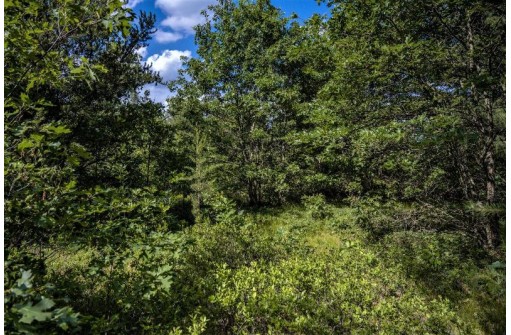 LOT 10 18th St, Necedah, WI 54646