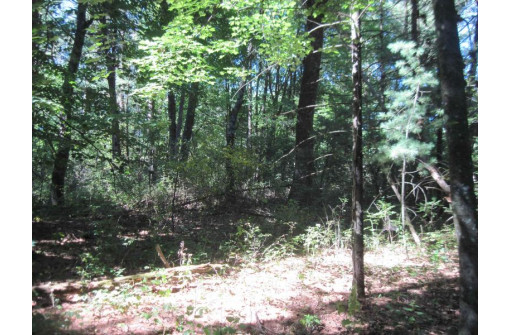 2.74 ACRES 15th Dr, Arkdale, WI 54613