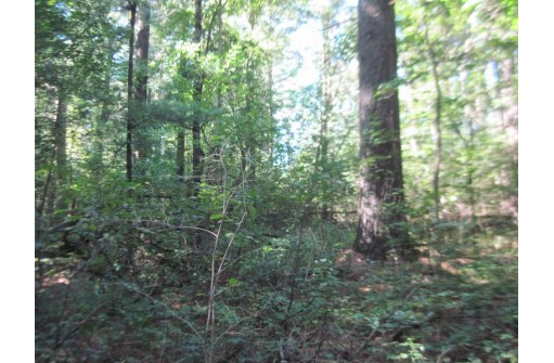 2.74 ACRES 15th Dr, Arkdale, WI 54613