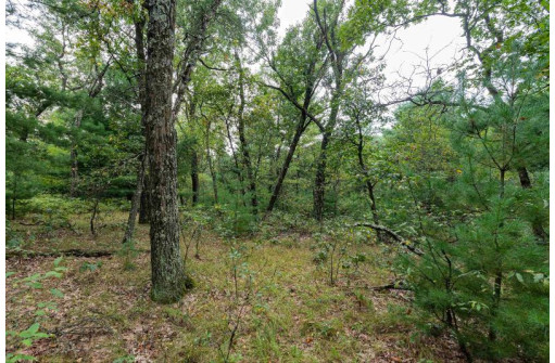 10 AC 9th Ave, Wisconsin Dells, WI 53965