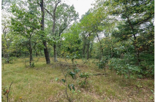 10 AC 9th Ave, Wisconsin Dells, WI 53965