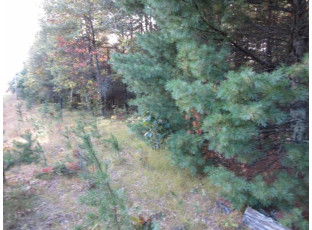 LOT 1 19th Ave Necedah, WI 54646