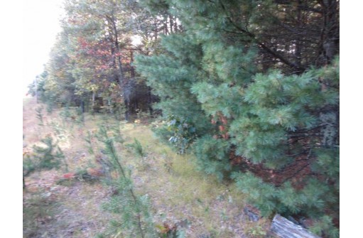 LOT 1 19th Ave, Necedah, WI 54646