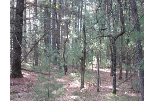 LOT 1 19th Ave, Necedah, WI 54646