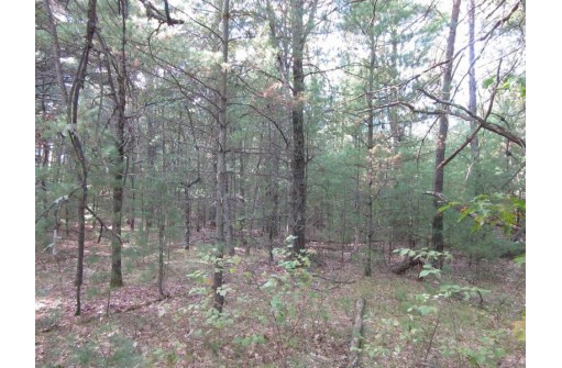 LOT 1 19th Ave, Necedah, WI 54646