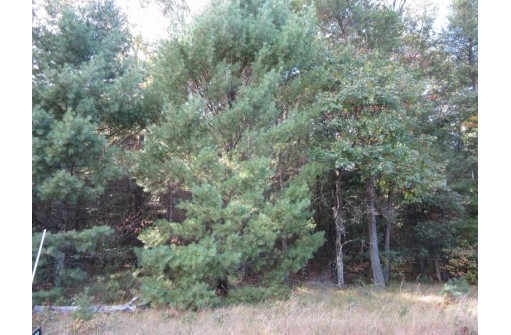 LOT 1 19th Ave, Necedah, WI 54646